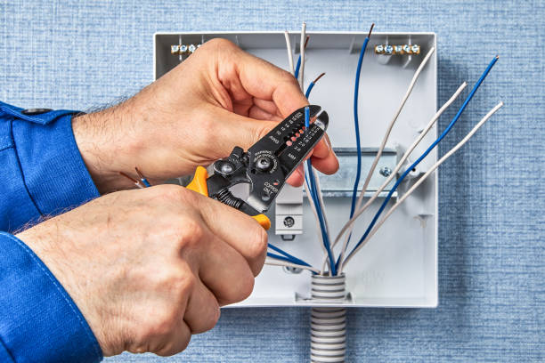 Best Electrical Panel Upgrades  in Brackettville, TX